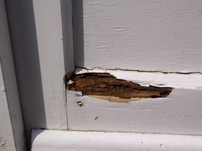 Broken door? 6 important things to check before replacing