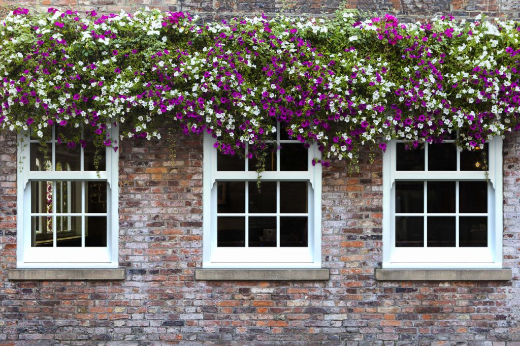 White uPVC sliding sash windows